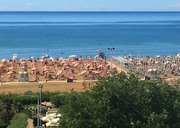 In 54735 ביביונה